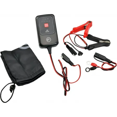 Зарядное устройство Berkut BC-1A