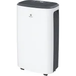 Осушитель воздуха Royal Clima Carisma Loft RD-CR20-E 310Вт бытовой белый/черный