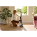 Пылесос Roborock F25 ACE 240Вт черный
