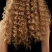 Щипцы Polaris PHS 1509TAi stick Argan Therapy PRO 40Вт черный макс.темп.:220С покрытие:турмалиновое (PHS 1509TAI)