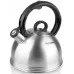 Чайник металлический Rondell Premiere RDS-237 2.4л. стальной