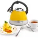 Чайник металлический Rondell Sole RDS-908 3л. желтый