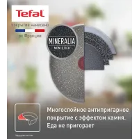 Сковорода Tefal Natural Cook 04213126 круглая 26см ручка несъемная (без крышки) серый (9100053995) Сковорода Tefal Natural Cook 04213126 круглая 26см ручка несъемная (без крышки) серый (9100053995)