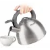 Чайник металлический Rondell Flamme RDS-227 3л. стальной
