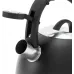 Чайник металлический Rondell Walzer RDS-1827 2.7л. черный
