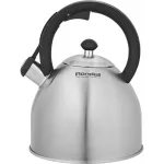 Чайник металлический Rondell Cassia RDS-1886 3.0л. стальной