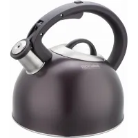 Чайник металлический Rondell Tierno RDS-1900 2.9л. фиолетовый