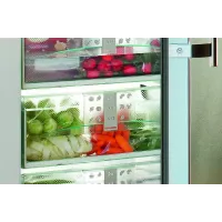 Морозильная камера Liebherr GPesf 1476 серебристый