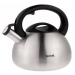 Чайник металлический Tefal C7921024 2.5л. серебристый (2100093085)