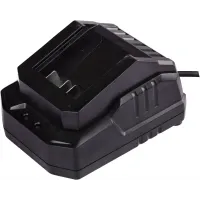 Зарядное устройство DongCheng FFCL20-02