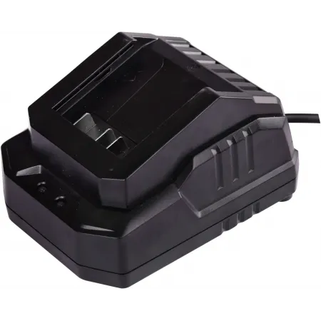 Зарядное устройство DongCheng FFCL20-02