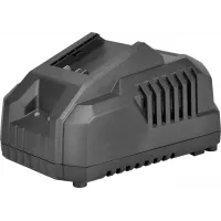 Зарядное устройство DongCheng FFCL20-04