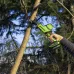 Сабельная пила Greenworks GPT-CRS-25 аккум. (1200507CUA) Сабельная пила Greenworks GPT-CRS-25 аккум. (1200507CUA)
