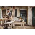 Бензопила Stihl MS 162 1200Вт 1.6л.с. дл.шины:14" (35cm) (11482000332) Бензопила Stihl MS 162 1200Вт 1.6л.с. дл.шины:14" (35cm) (11482000332)