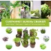 Набор питательных губок Cactus CS-SPONGE-20 для проращивания (упак.:20шт) коробка