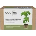 Набор питательных губок Cactus CS-SPONGE-20 для проращивания (упак.:20шт) коробка