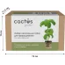 Набор питательных губок Cactus CS-SPONGE-20 для проращивания (упак.:20шт) коробка