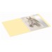 Папка с 20 прозр.вклад. Бюрократ Pastel PAST20YEL A4 пластик 0.5мм торц.карм с бум. встав желтый