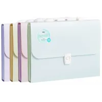 Папка-портфель Deli Colorful EF613 13 отдел. A4 полипропилен ассорти