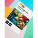 Бумага цветная Silwerhof тонир. 10л. 10цв. A4 CREATE 80г/м2 папка