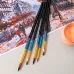 Набор кистей Deli EC406 синтетика (наб.5шт) синт.кругл.№1,3,5/синт.плос.№5,8