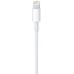 Кабель Apple A1480 MXLY2ZM/A USB (m)-Lightning (m) 1м белый