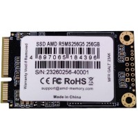 Накопитель SSD AMD SATA 256GB R5MS256G5 Radeon R5 mSATA