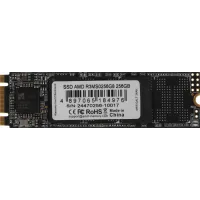 Накопитель SSD AMD SATA 256GB R3MS0256G8 Radeon mSATA