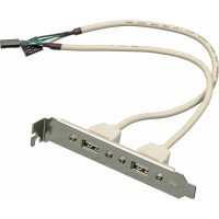 Адаптер USB Bracket 2xUSB2.0 Bulk