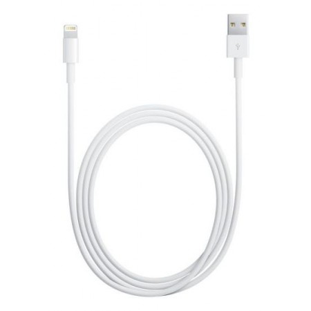 Кабель Apple A1510 MD819ZM/A USB (m)-Lightning (m) 2м белый