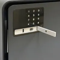 Сейф мебельный LockSworth VS4523-BK взломостойкий встраиваемый 200x310x200мм электронный/ключевой Сейф мебельный LockSworth VS4523-BK взломостойкий встраиваемый 200x310x200мм электронный/ключевой