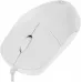 Мышь Defender Azora MB-241 белый оптическая 1200dpi silent USB 2but (52242)