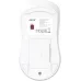 Мышь Acer OMR501 белый оптическая 1600dpi silent беспров. USB 4but (ZL.MCE11.018)