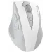 Мышь A4Tech Fstyler FG55S Plus белый оптическая 1200dpi беспров. USB