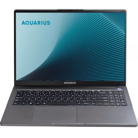 Ноутбук Aquarius Cmp NE356 Ryzen 5 6600H 16Gb SSD512Gb 16" без ОС WiFi BT (NE3561533116S151SCN2TNNNNN2)