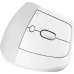 Мышь Logitech Lift белый оптическая 4000dpi silent беспров. BT/Radio USB для ноутбука 5but (910-006480) Мышь Logitech Lift белый оптическая 4000dpi silent беспров. BT/Radio USB для ноутбука 5but (910-006480)