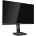 Монитор AOC 24" Professional X24P1(00/01) черный IPS LED 16:10 DVI HDMI M/M матовая HAS Piv 1000:1 300cd 178гр/178гр 1920x1200 60Hz VGA DP FHD USB 5.5кг