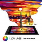 Графический планшет Huion Kamvas PRO 13 USB Type-C черный
