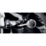 Микрофон проводной SHURE SM58-LCE черный/серебристый