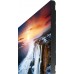 Панель Samsung 55" VH55R-R черный IPS 8ms 16:9 DVI HDMI матовая 700cd 178гр/178гр 1920x1080 DP FHD USB 16.8кг (RUS)