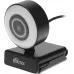 Камера Web Ritmix RVC-250 черный 5Mpix (2592x1944) USB2.0 с микрофоном