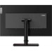 Монитор Lenovo 23.8" ThinkVision P24h-2L черный IPS 6ms 16:9 HDMI M/M матовая HAS Piv 1000:1 300cd 178гр/178гр 2560x1440 60Hz DP 2K USB 6.39кг