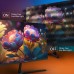 Монитор SunWind 27" SM-27FI221 черный IPS LED 5ms 16:9 HDMI M/M матовая 300cd 178гр/178гр 1920x1080 100Hz G-Sync VGA DP FHD 4.3кг