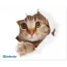 Коврик для мыши Defender Silk Мини рисунок 230x190x1.6мм (50706)