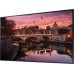 Панель Samsung 65" QB65B черный VA LED 8ms 16:9 DVI HDMI M/M матовая 350cd 178гр/178гр 3840x2160 DP RCA 4K USB 24.9кг