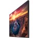 Панель Samsung 50" QM50B черный VA LED 8ms 16:9 HDMI M/M матовая 4000:1 500cd 178гр/178гр 3840x2160 4K USB 13.4кг