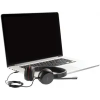 Наушники с микрофоном Jabra Evolve 30 II MS черный 1.2м накладные USB оголовье (5399-823-309)