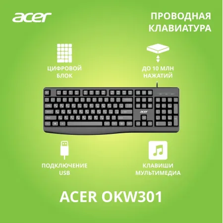 Клавиатура Acer OKW301 черный USB для ноутбука (ZL.KBDCC.01A)