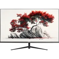 Монитор RDW Computers 27" RDW2701K черный IPS 5ms 16:9 HDMI матовая 1000:1 250cd 178гр/178гр 2560x1440 75Hz DP 9кг (RUS)