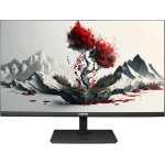 Монитор RDW Computers 23.8" RDW2401K черный IPS 5ms 16:9 HDMI M/M матовая 1000:1 250cd 178гр/178гр 1920x1080 100Hz VGA DP FHD USB 9кг (RUS)